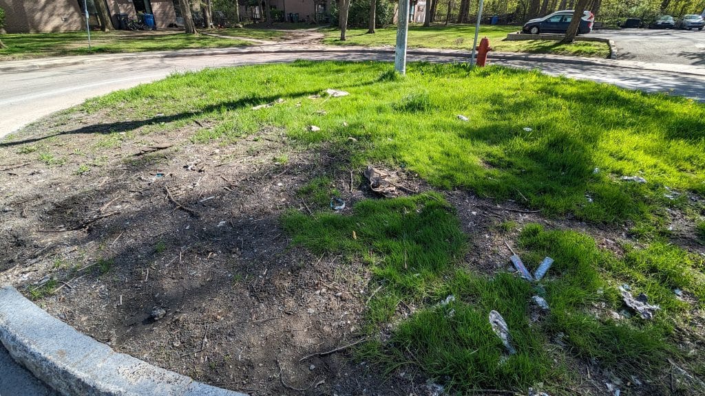 Création du Jardin Elgar