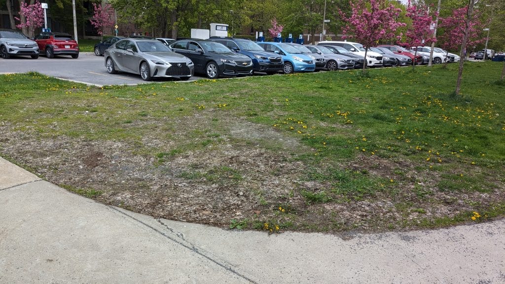 Expansion des jardins de biodiversité