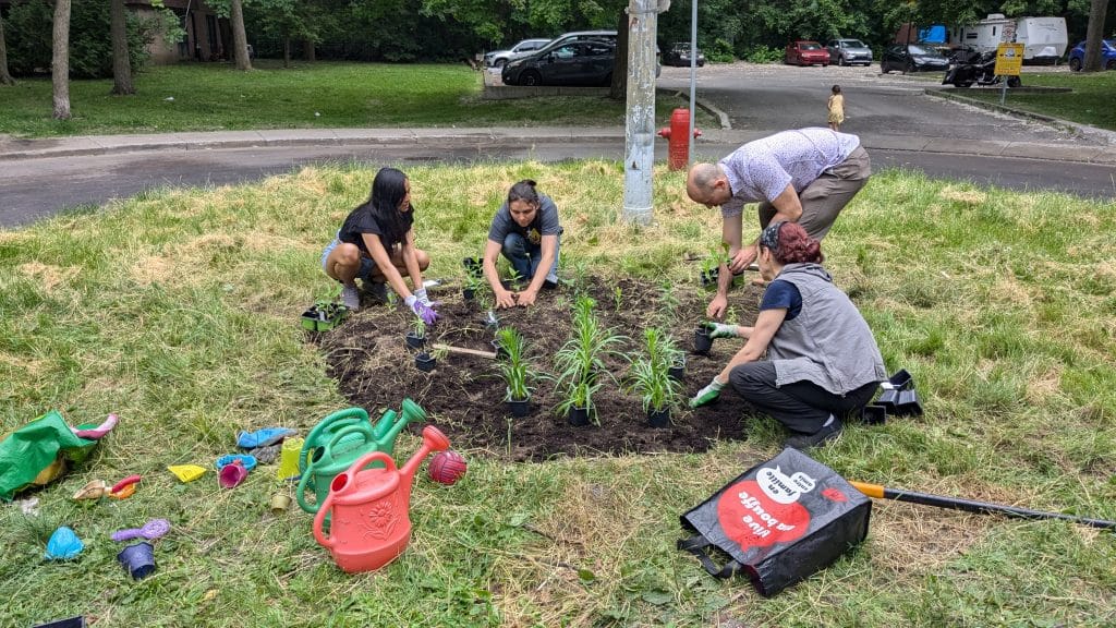 Community garden