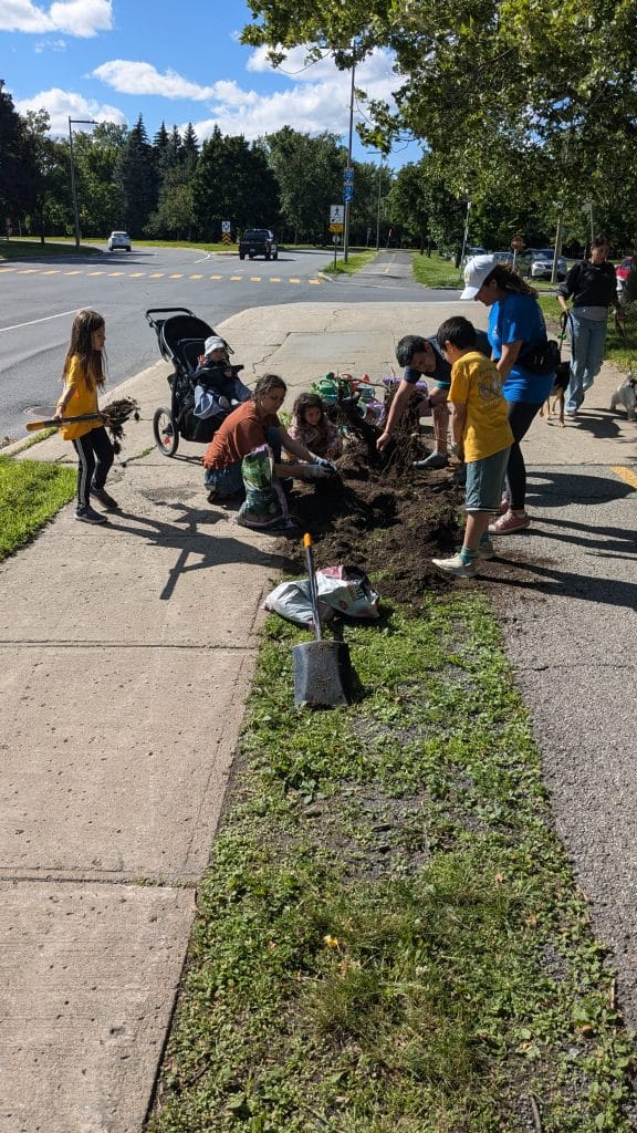 Native plants growing