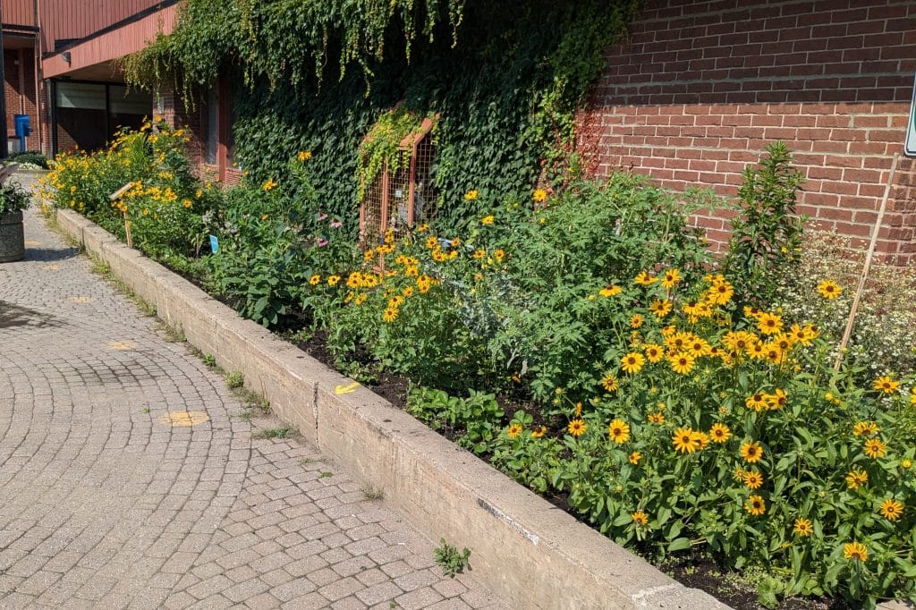 Atelier de fin d'année