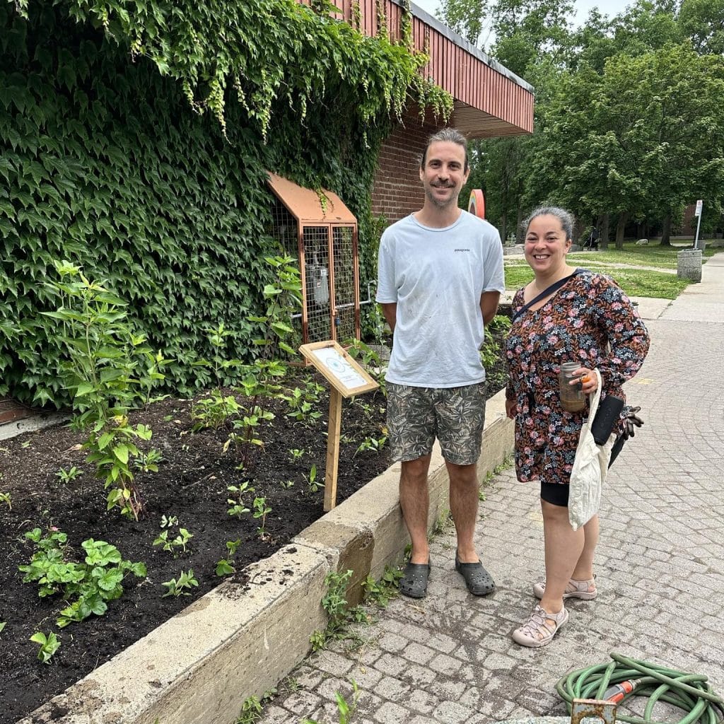 Close-up of native flowers